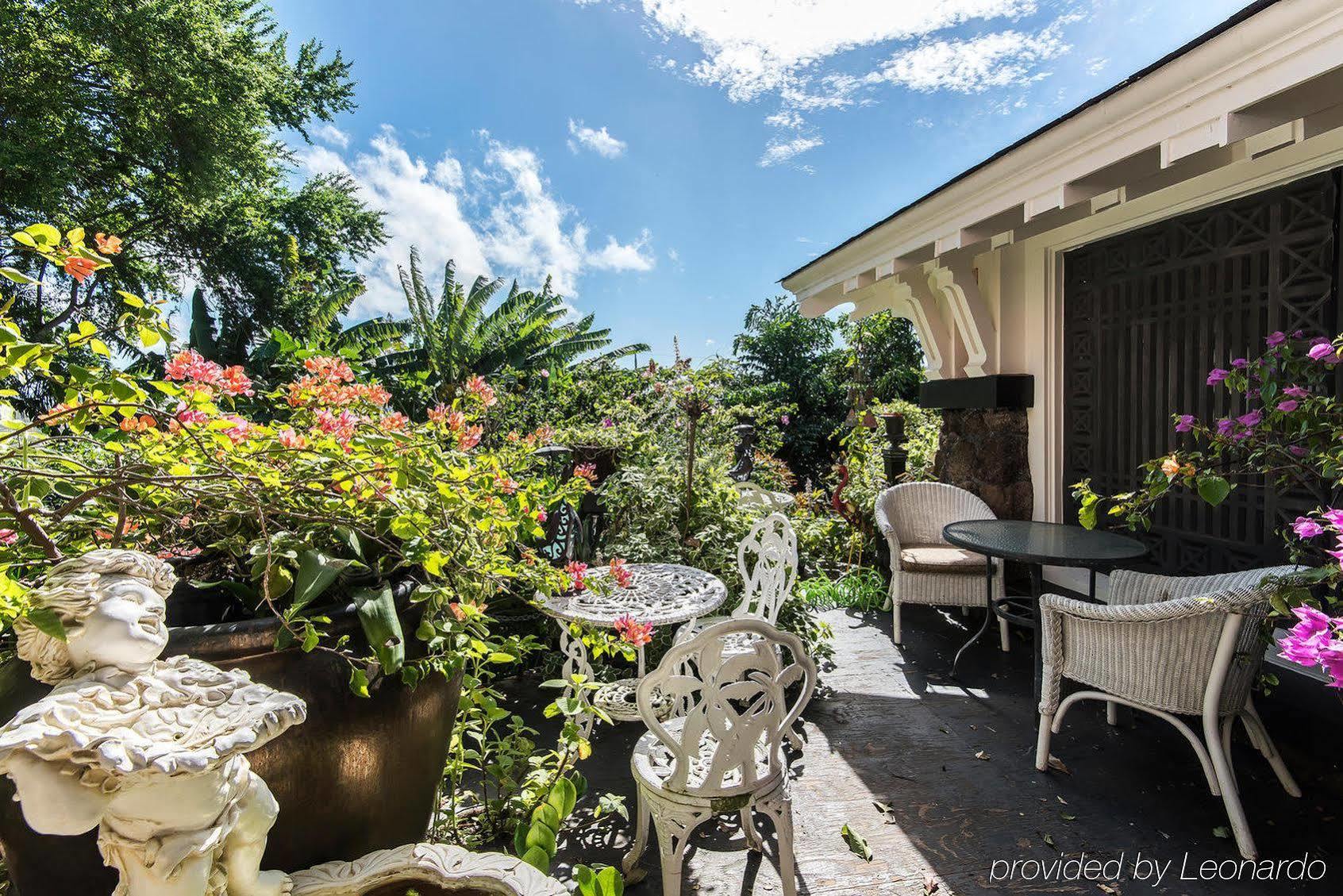 Manoa Valley Inn Honolulu Exterior foto